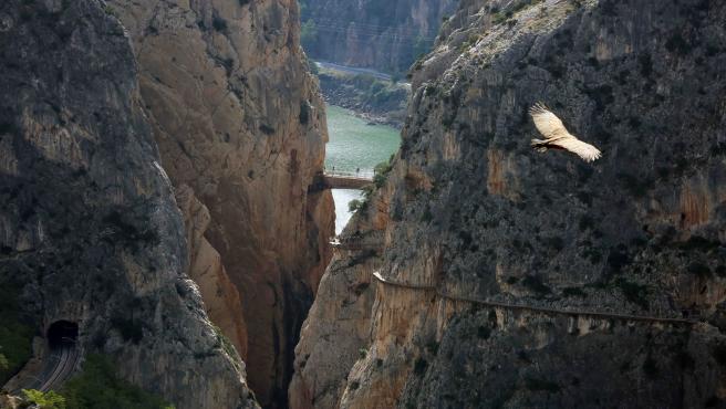 El Caminito del Rey permanecerá cerrado el domingo y el lunes por las altas temperaturas