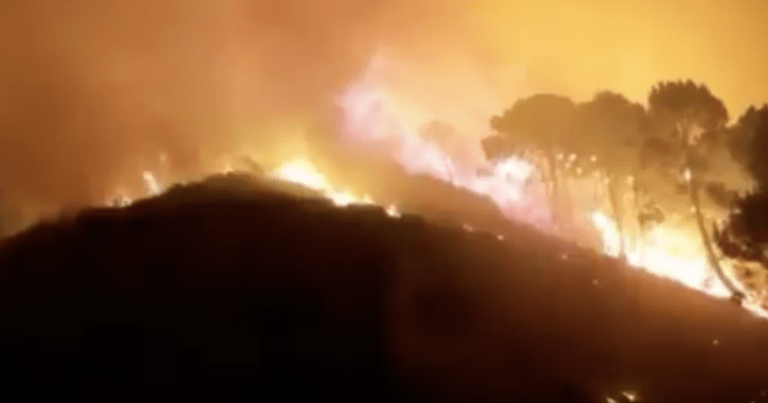 CPB despliega veinticuatro efectivos y siete vehículos en el incendio de Sierra Bermeja