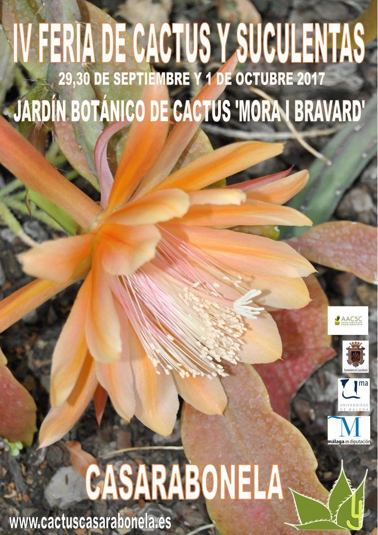 IV Feria de Cactus y suculentas en Casarabonela