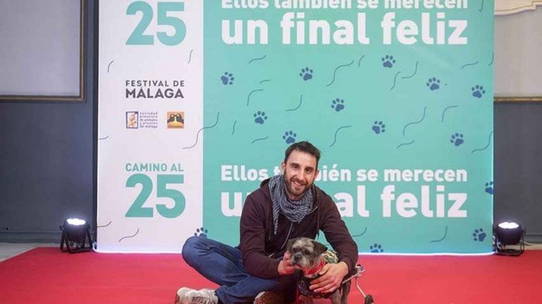 Perros y gatos abandonados serán estrellas por un día en el Festival de Cine de Málaga