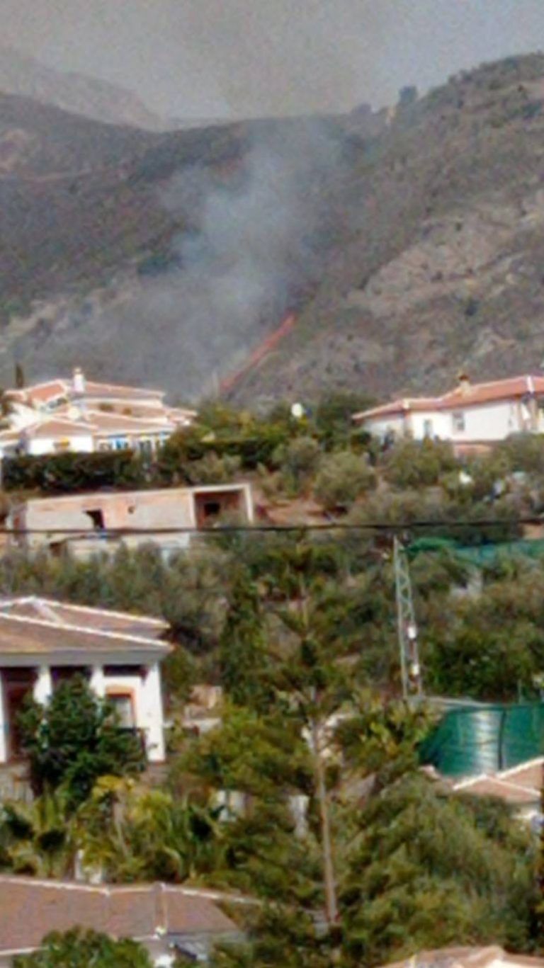Declarado un incendio forestal en Alcaucín