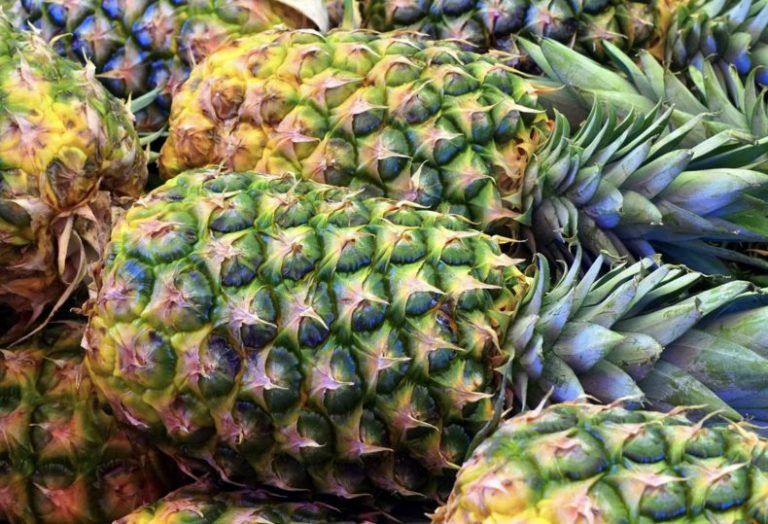 Intervienen 750 kilos de cocaína oculta entre piñas tropicales en Alhaurín de la Torre