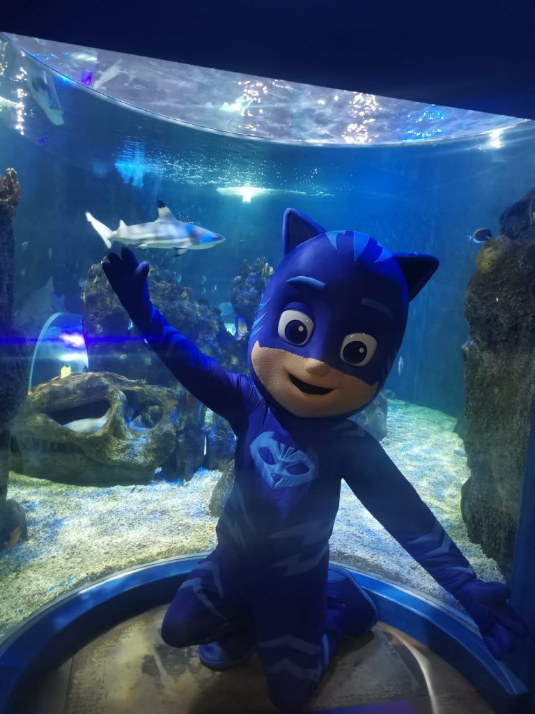 SEA LIFE Benalmádena se une a ENALMÁDENA SE UNE A “PJ MASKS” para seguir cuidando y descubriendo los secretos del mundo marino