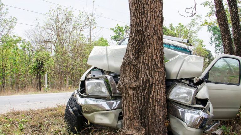 Muere tras chocar su vehículo contra una palmera en Mijas