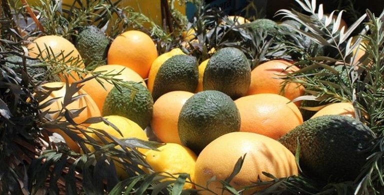 ¿Gastronomía tropical o tradicional? Conóce la cocina de Benamargosa