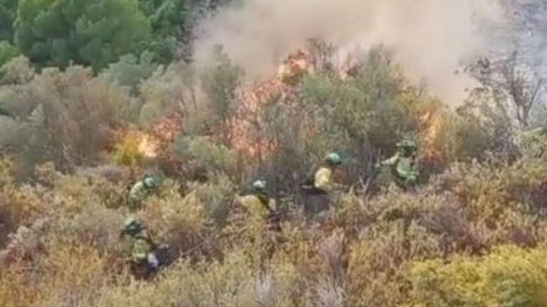 Extinguido el incendio forestal de Canillas de Albaida