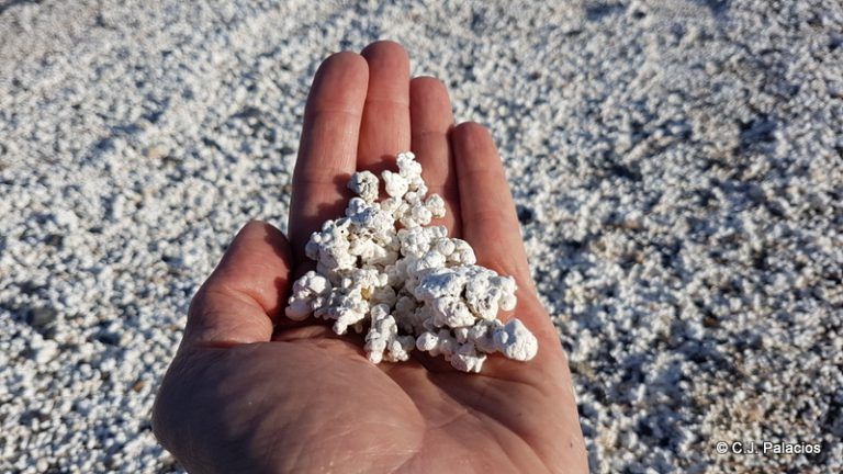 “Un viaje de película, con palomitas» por Laura Gordon González