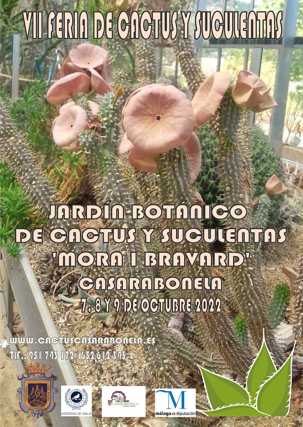 POSTER-GRANDE-con-logo-diputacion