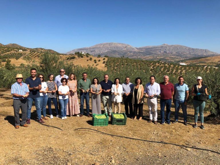 El delegado de Agricultura reconoce al Consejo Regulador de la aceituna Aloreña la “defensa y promoción de este producto singular”