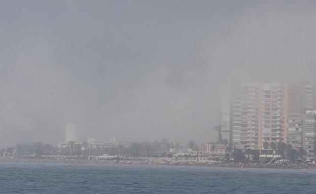Taró en Málaga