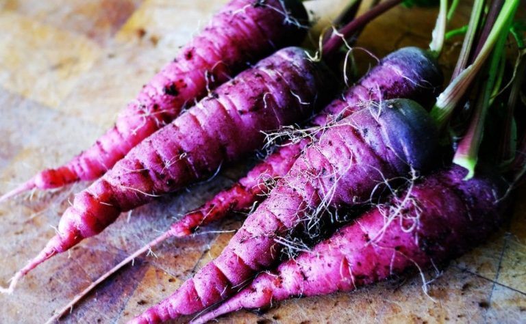 Cuevas Bajas celebra el domingo 4 de diciembre la décimo segunda Fiesta de la Zanahoria Morá