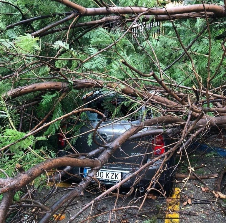 Un tornado en Marbella tira árboles, una mujer herida y causa varios destrozos en las calles (vídeo) )