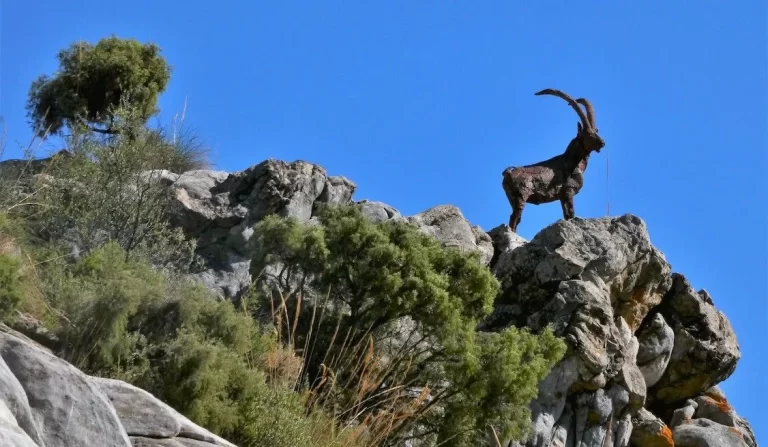La Junta da luz verde este lunes a la declaración del Espacio Natural Sierra de las Nieves