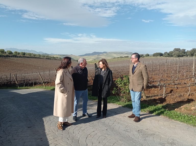 La Junta destina cerca de un millón de euros para potenciar el sector del vino en la Serranía