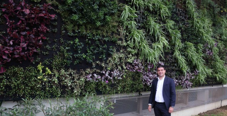 La Diputación instala en su fachada un jardín vertical de 52 metros cuadrados con 3.500 plantas