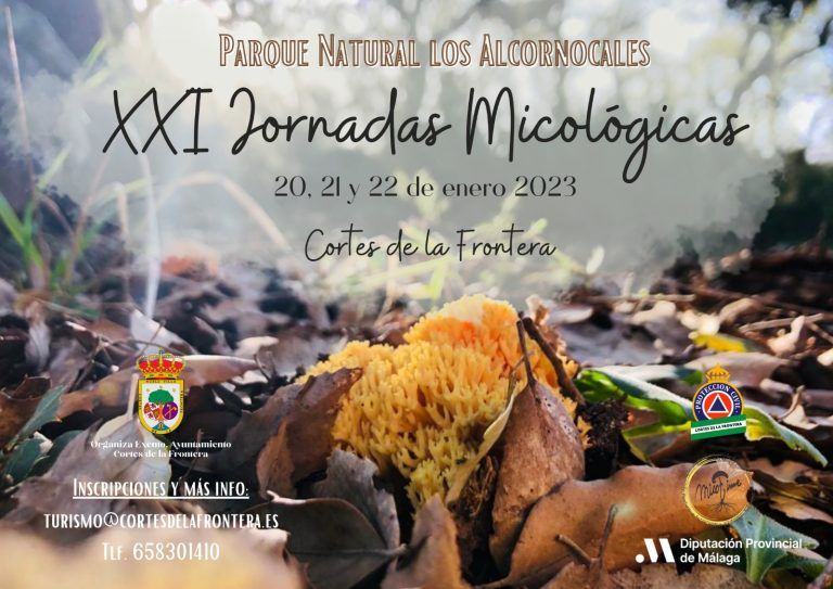 Cortes de la Frontera organiza unas jornadas micológicas