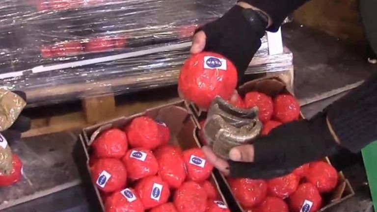 Intervenidas en Málaga más de 22 toneladas de hachís camuflado en tomates falsos