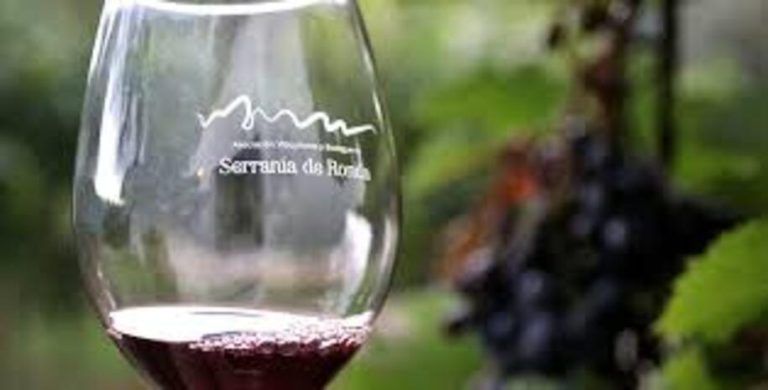 Ronda promociona sus bodegas en la Feria Internacional de Enoturismo de Valladolid