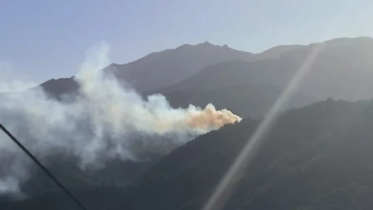 Declarado un incendio en una zona forestal de Yunquera