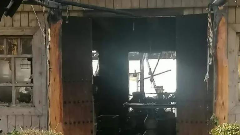 Arde de madrugada el chiringuito El Nini de San Pedro Alcántara