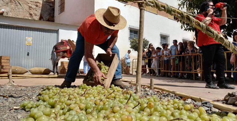 La Junta facilita la acreditación de la elaboración de la uva pasa como producción tradicional