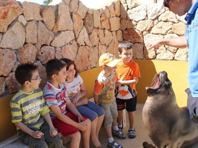 Selwo Costa del Sol abre el plazo de inscripción para sus campamentos de verano