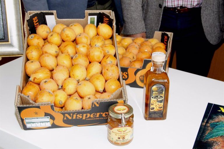 Sayalonga celebra este domingo la XXXVII edición Día del Níspero con el reparto de 1.500 kilos de este fruto y vino moscatel