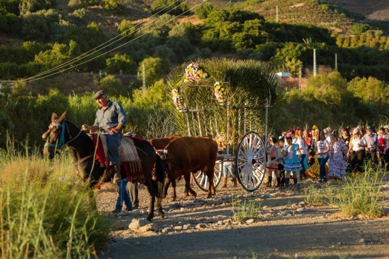 Benamargosa celebra este fin de semana la romería de la Virgen de la Purísima