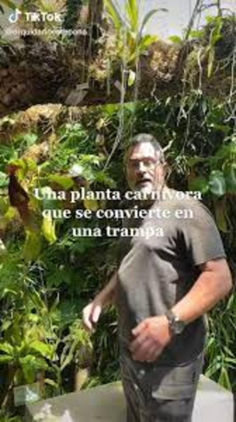 Manuel Lucas, el curator del Orquidario de Estepona que arrasa en las redes sociales, concede una entrevista a Málaga Magazine