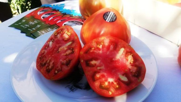 Alhaurín el Grande acogerá una jornada técnica sobre el Tomate Huevo Toro