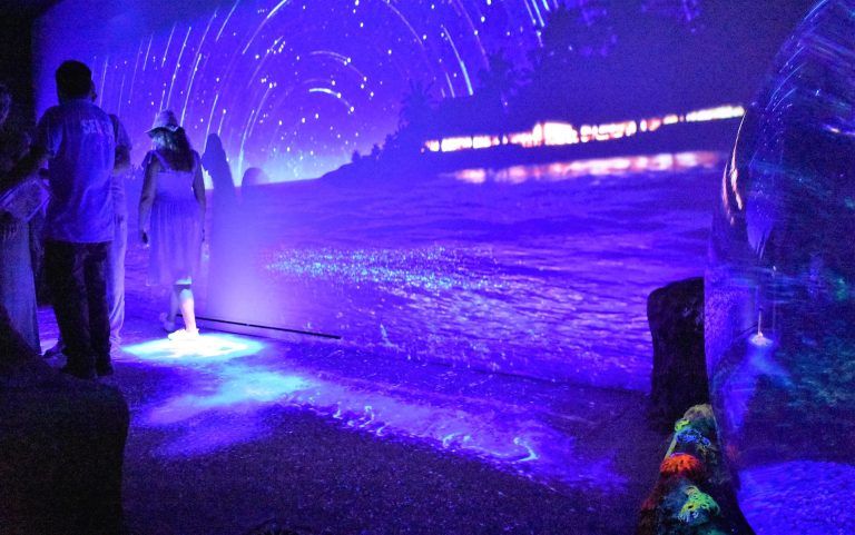 “NOCHE EN EL MAR”, UNA EXPERIENCIA BIOLUMINISCENTE ÚNICA EN ESPAÑA
