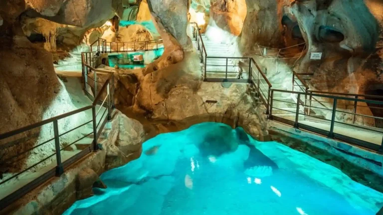 La Cueva del Tesoro bate su récord histórico de visitas en el mes de agosto con 17.259 personas