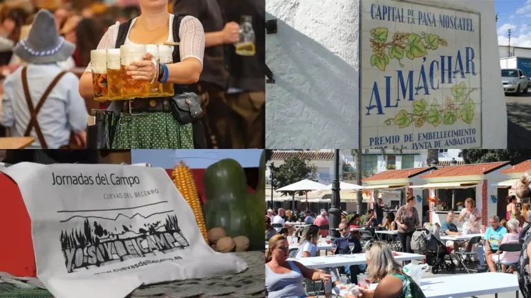 Cerveza, rutas gastronómicas y motocross: algunos de los planes para disfrutar este fin de semana