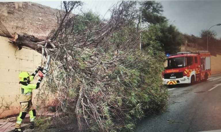 Emergencias 112 gestiona más de un centenar de incidencias por el viento en toda Andalucía