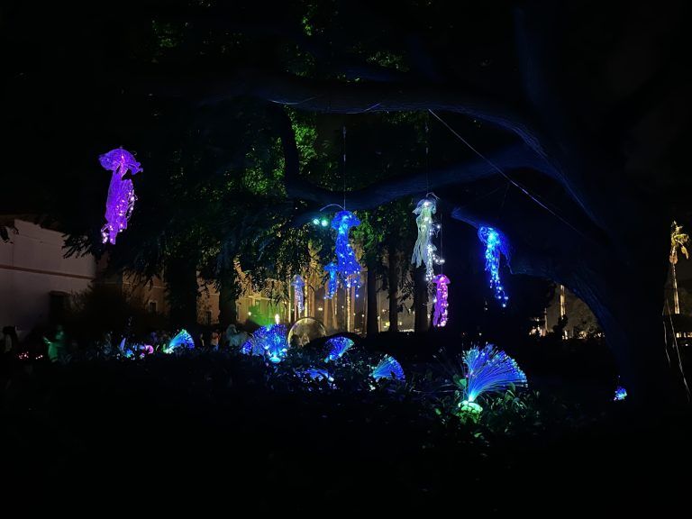 Jardines en Luz de Plaza Mayor (Vídeo)