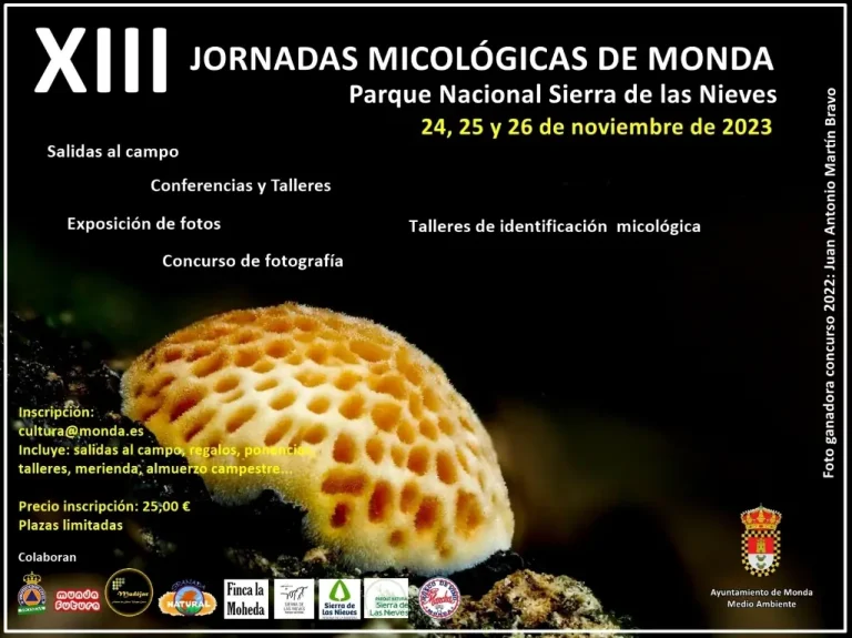 Monda celebra los días 24, 25 y 26 de noviembre sus XIII Jornadas Micológicas