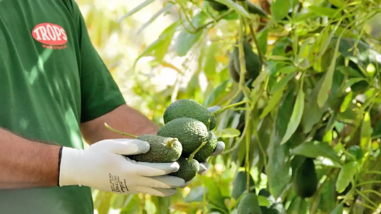 Trops, reconocida en los premios Alimentos de España 2022