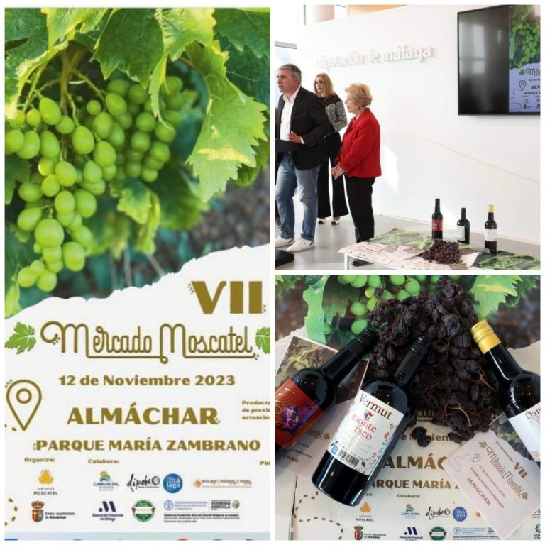 Almáchar celebra su VII Mercado Moscatel para poner en valor la uva pasa de la Axarquía