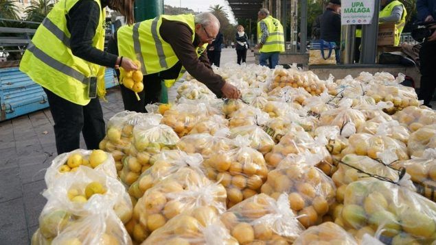 Agricultores regalan 3 toneladas de limones en Málaga para criticar «los precios de la ruina»