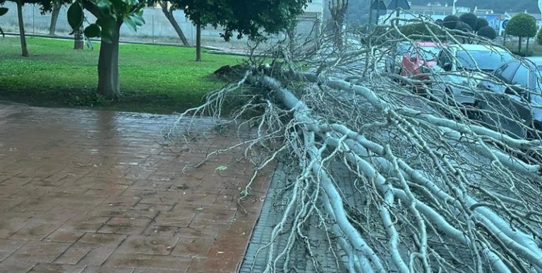 ‘Karlotta’ deja 70 l/m2 pero con escasa incidencia en los embalses