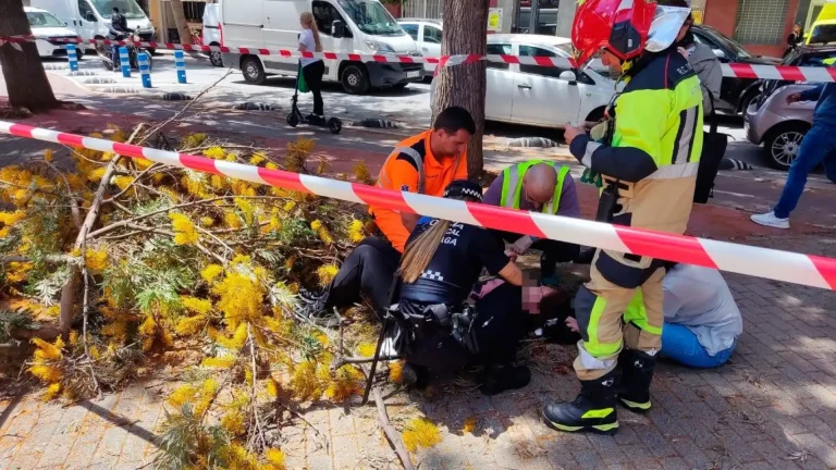 Herida una mujer de 57 años en La Trinidad (Málaga) tras caerle una rama de un árbol en la cabeza