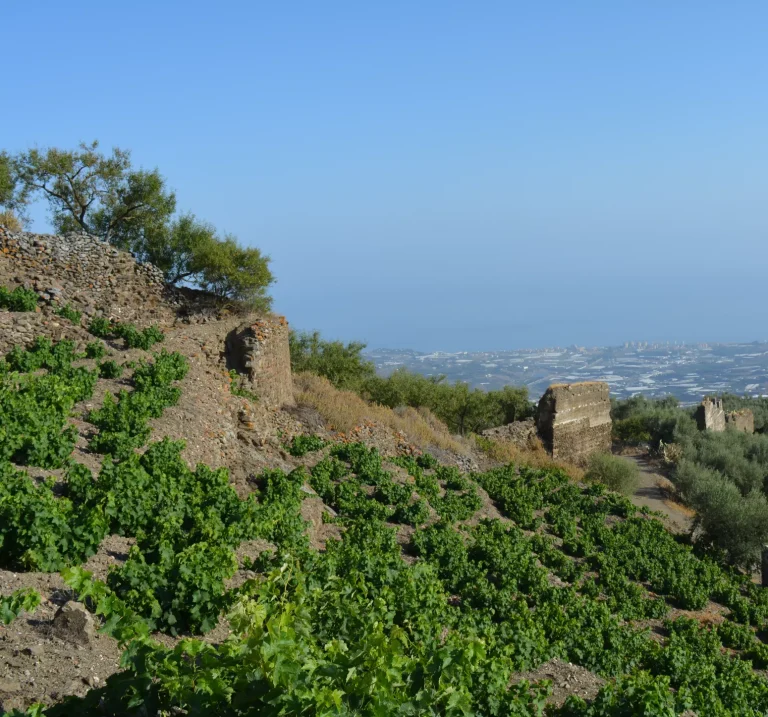 El Castillo de Bentomiz, un enclave militar de importancia en la época Andalusí