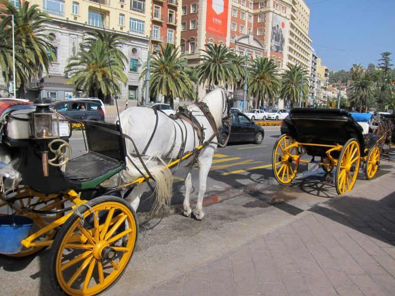 Málaga dice adiós a los coches de caballos