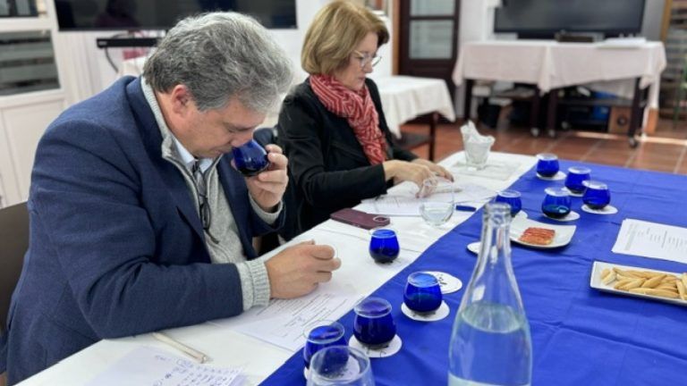 Las almazaras Finca La Torre, Hacienda de Colchado y El Labrador, ganadoras del Premio Sabor a Málaga al Mejor Aceite de Oliva Virgen Extra de la Provincia