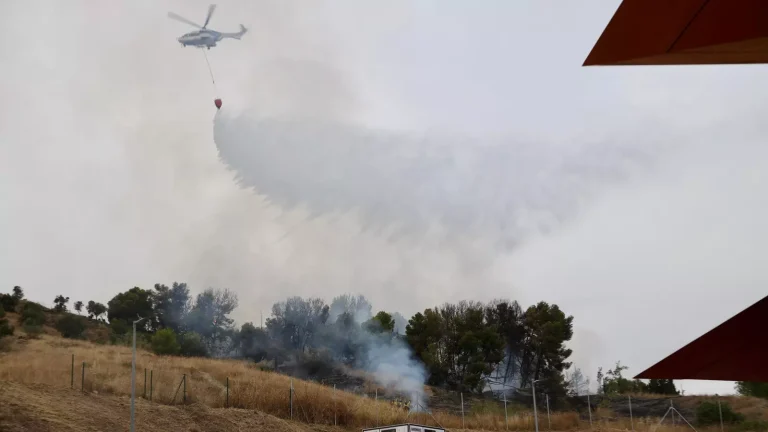 Estabilizado el incendio forestal en el Monte Coronado de Málaga