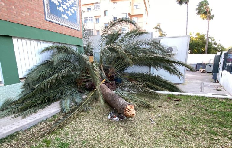 El viento azota Benalmádena: rachas de hasta 111 km/h obligan a activar el plan de emergencias
