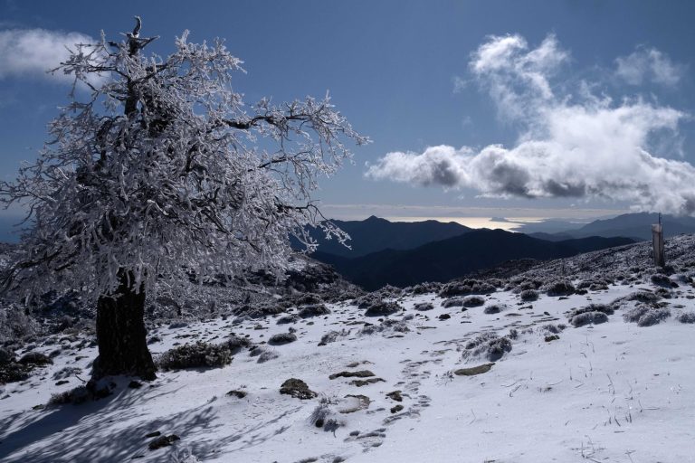 Málaga vuelve a sacar el paraguas: la Aemet alerta de la llegada de más lluvias, frío y nieve
