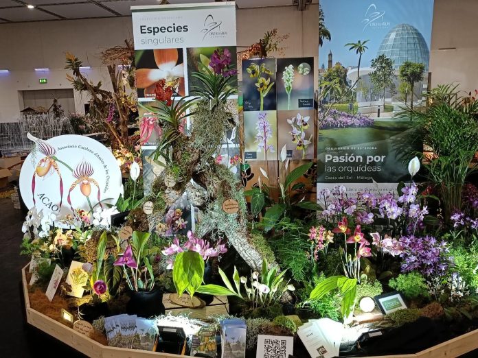 Foto Premio Orquidario 2