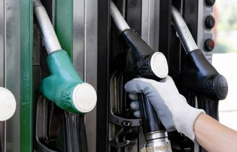 Detenido en Estepona el autor de siete robos con fuerza en estaciones de servicio