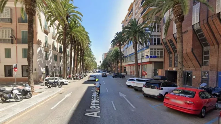Seis detenidos por el violento apuñalamiento de un hombre en plena Alameda de Colón